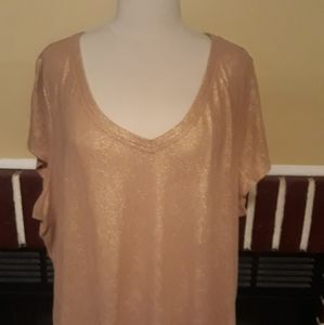 2 for $25 - Lane Bryant Gold Shimmer Top